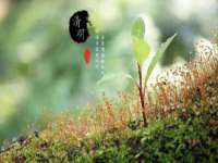 邢台鑫群机械制造厂