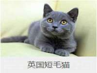邢台鑫群机械制造厂