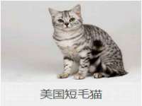 邢台鑫群机械制造厂