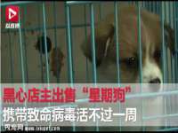 邢台鑫群机械制造厂