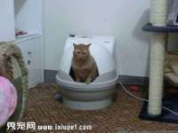 邢台鑫群机械制造厂