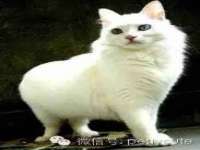 邢台鑫群机械制造厂