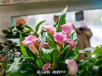 邢台鑫群机械制造厂