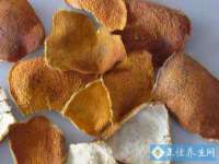 邢台鑫群机械制造厂