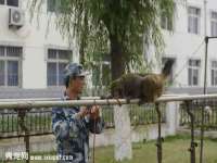 邢台鑫群机械制造厂