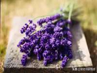 邢台鑫群机械制造厂